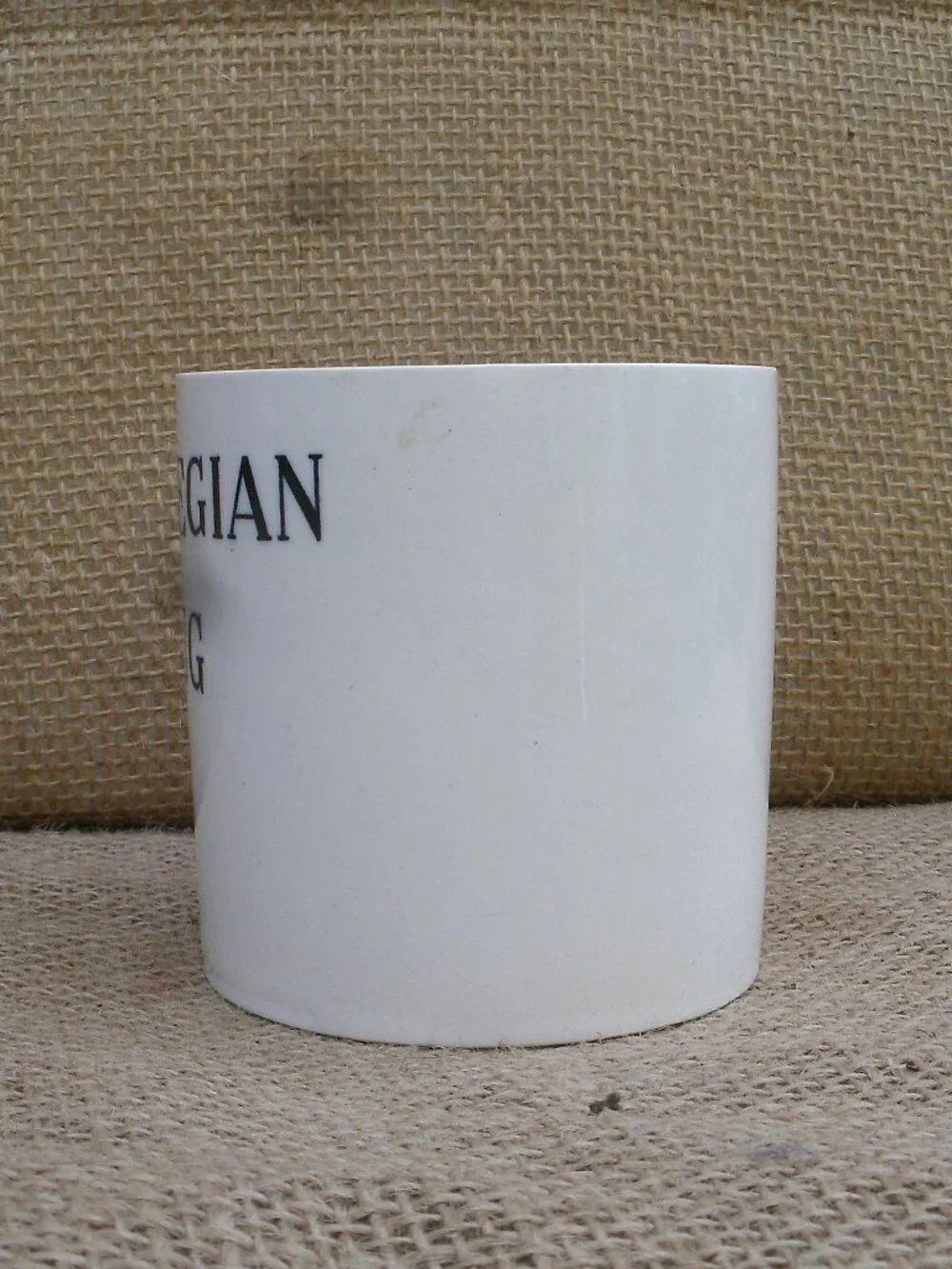 Vintage Norwegian Gag Joke Handle Inside Mug